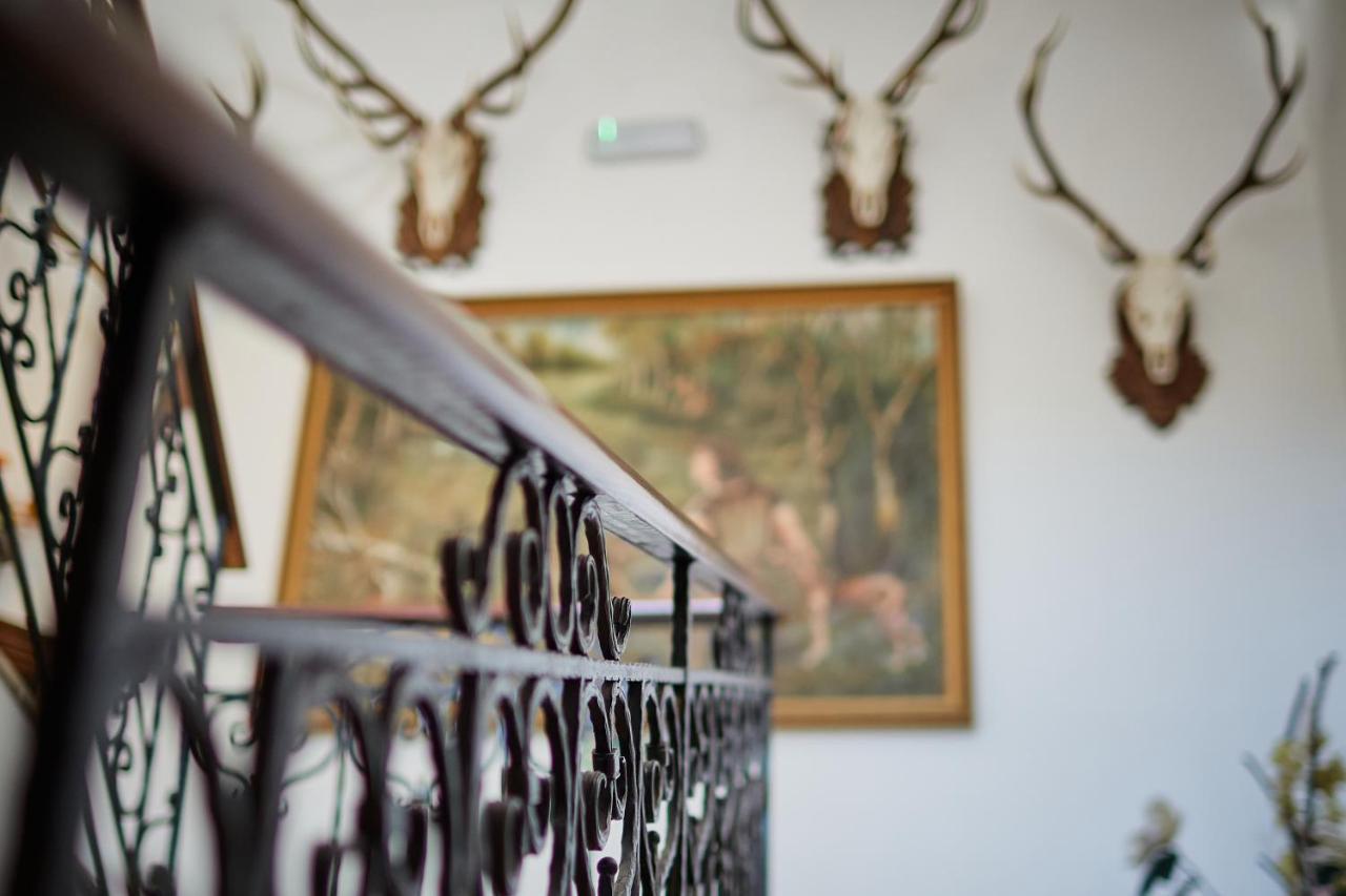 Tercia Hubertus Panzio Bed & Breakfast Sopron Exterior photo