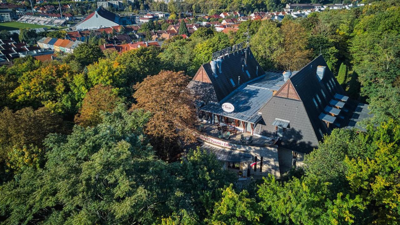 Tercia Hubertus Panzio Bed & Breakfast Sopron Exterior photo
